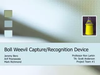 Boll Weevil Capture/Recognition Device