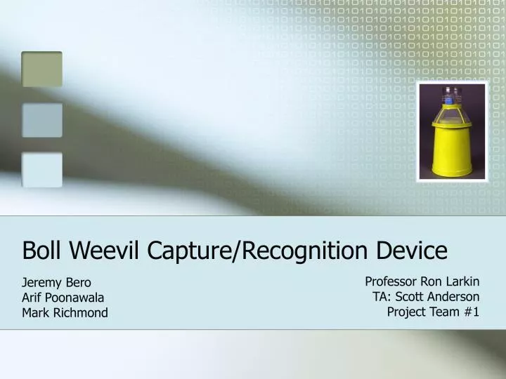 boll weevil capture recognition device