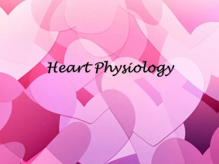 heart physiology