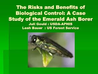 The Risks and Benefits of Biological Control: A Case Study of the Emerald Ash Borer Juli Gould : USDA-APHIS Leah Bauer