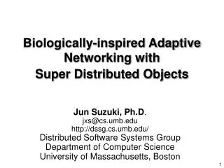 Biologically-inspired Adaptive Networking with Super Distributed Objects