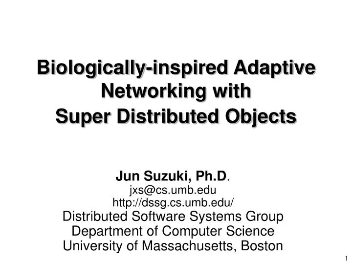 biologically inspired adaptive networking with super distributed objects