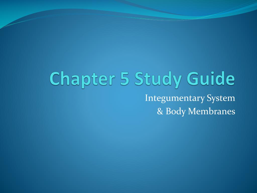 PPT - Chapter 5 Study Guide PowerPoint Presentation, free download - ID ...