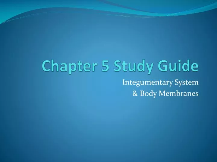 chapter 5 study guide