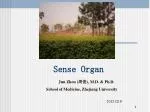 Sense Organ - slide 1
