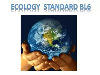 Ecology Standard BL6