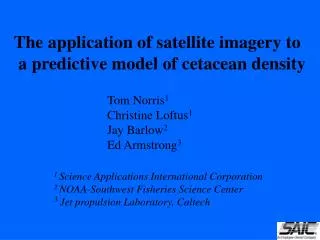 The application of satellite imagery to a predictive model of cetacean density