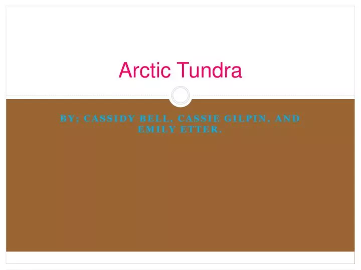 arctic tundra