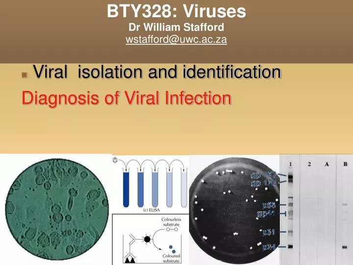 bty328 viruses dr william stafford wstafford@uwc ac za