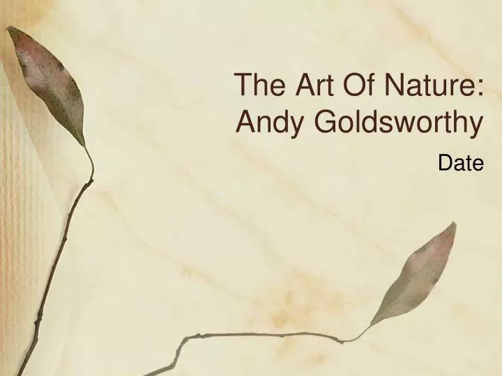 the art of nature andy goldsworthy