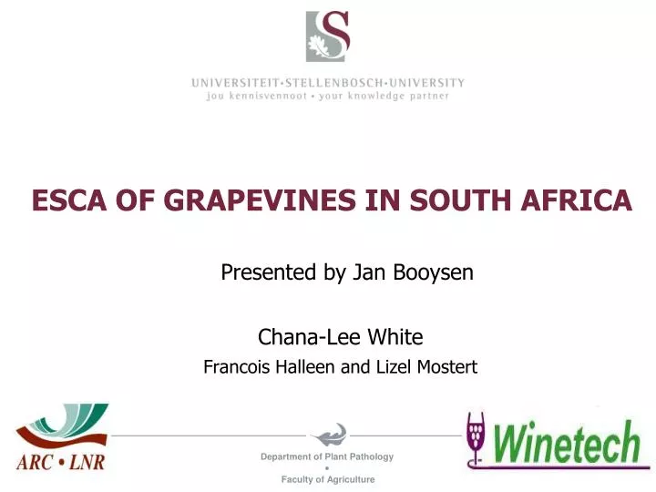 esca of grapevines in south africa