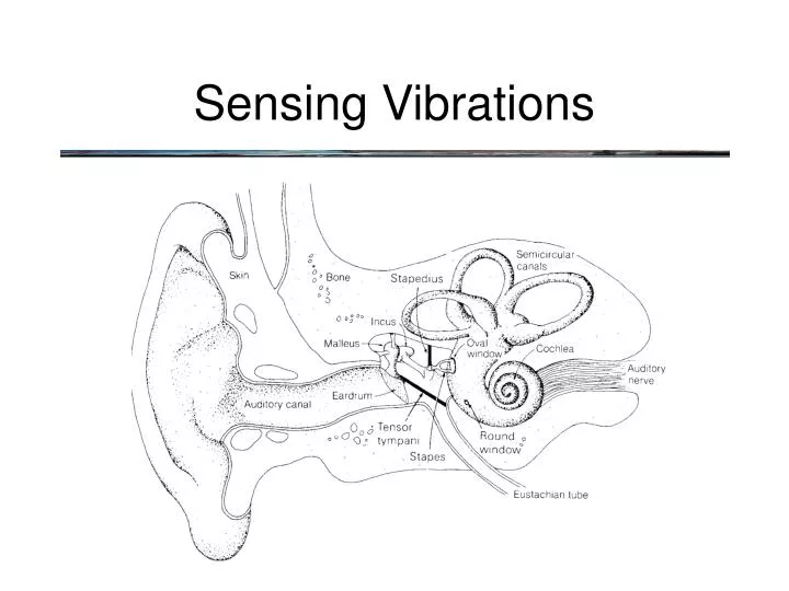 sensing vibrations