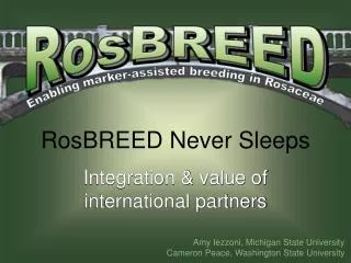 RosBREED Never Sleeps Integration &amp; value of international partners