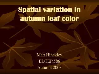 Spatial variation in autumn leaf color