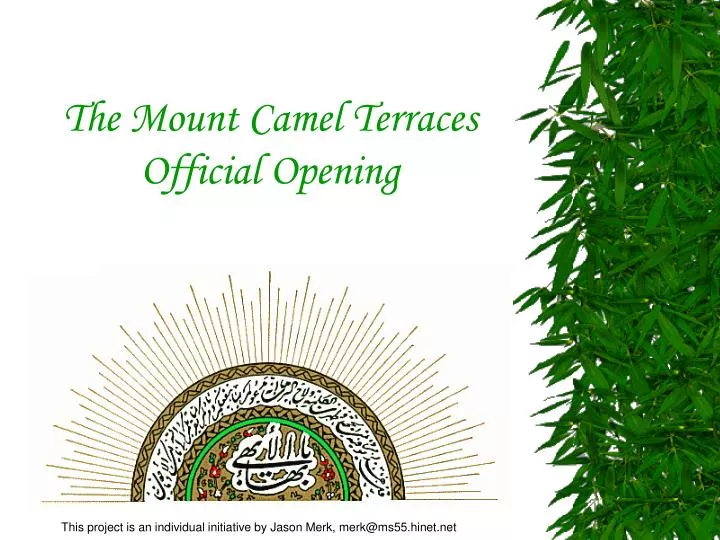 the mount camel terraces official opening