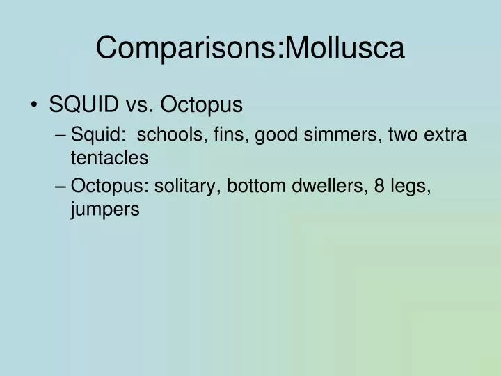 comparisons mollusca