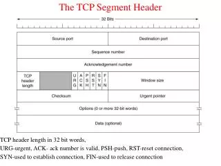 The TCP Segment Header