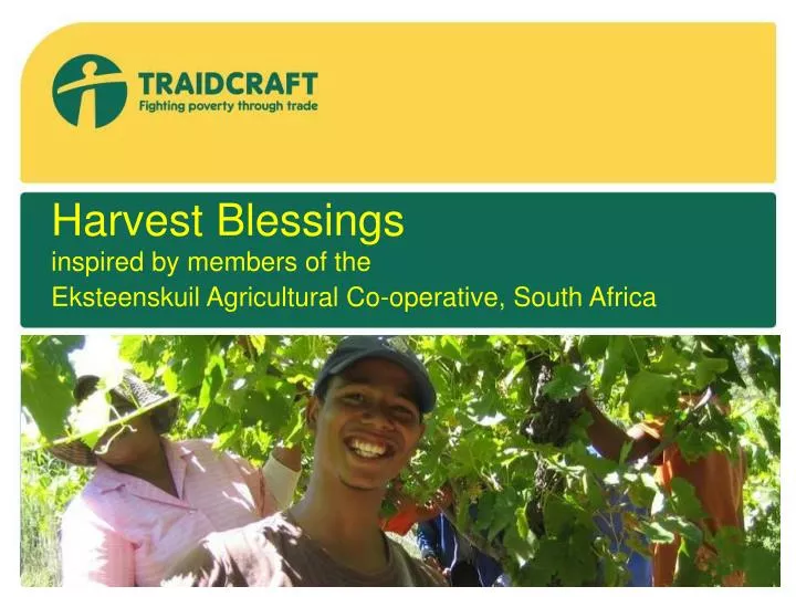 harvest blessings inspired by members of the eksteenskuil agricultural co operative south africa