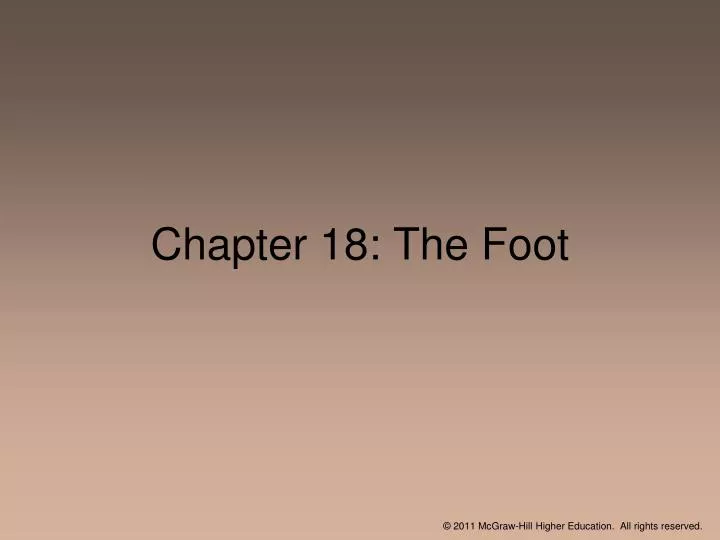 chapter 18 the foot