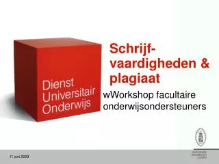 Schrijf-vaardigheden &amp; plagiaat