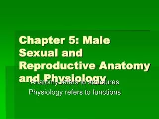Chapter 5: Male Sexual and Reproductive Anatomy and Physiology