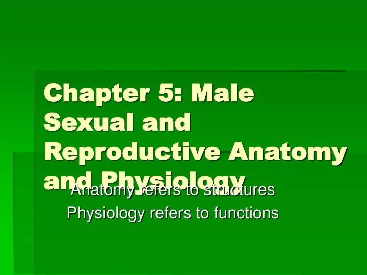 chapter 5 male sexual and reproductive anatomy and physiology