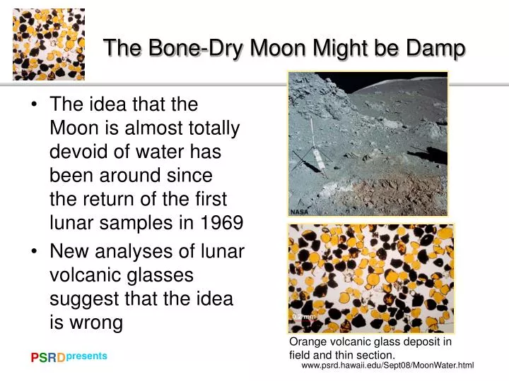 the bone dry moon might be damp
