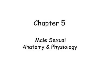 Chapter 5 Male Sexual Anatomy &amp; Physiology