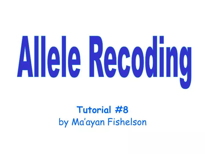 tutorial 8 by ma ayan fishelson