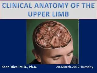 Clinical anatomy of the upper limb