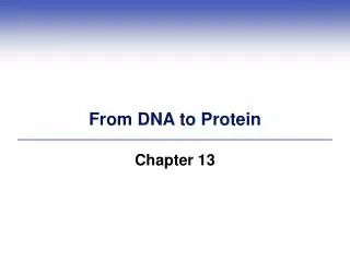 From DNA to Protein
