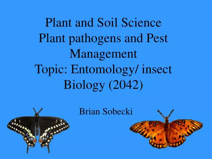 plant and soil science plant pathogens and pest management topic entomology insect biology 2042