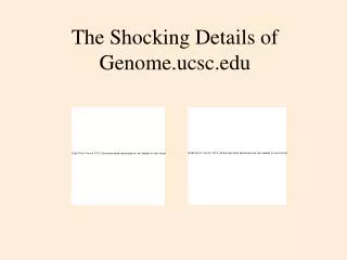 The Shocking Details of Genome.ucsc.edu
