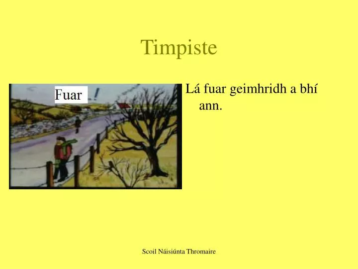 timpiste