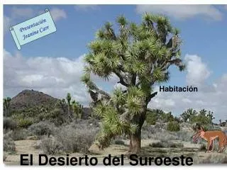 El Desierto del Suroeste