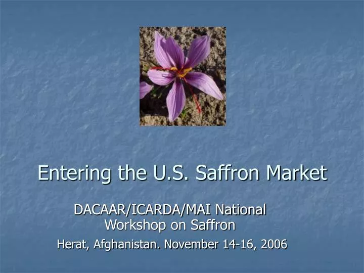 entering the u s saffron market