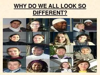 WHY DO WE ALL LOOK SO DIFFERENT?