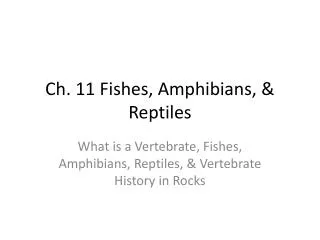 Ch. 11 Fishes, Amphibians, &amp; Reptiles