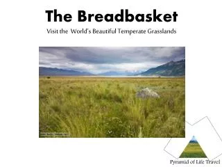 The Breadbasket Visit the World’s Beautiful Temperate Grasslands