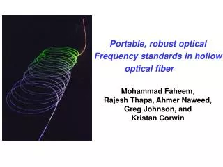 Portable, robust optical Frequency standards in hollow optical fiber