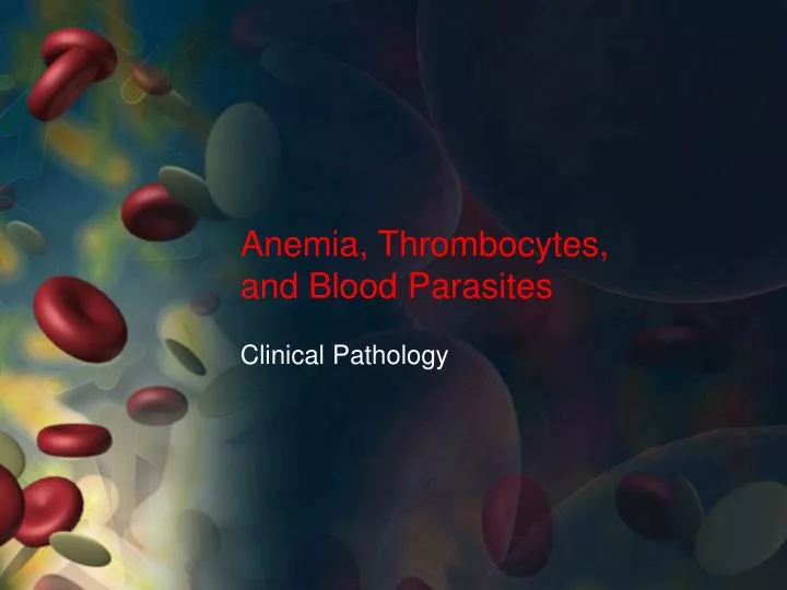 anemia thrombocytes and blood parasites