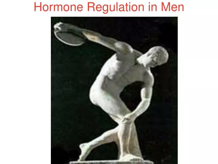 hormone regulation in men