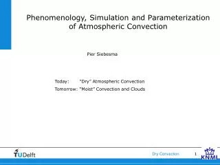 Phenomenology, Simulation and Parameterization of Atmospheric Convection