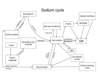 Sodium cycle