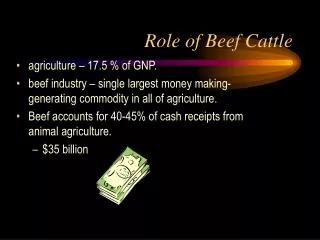 Role of Beef Cattle