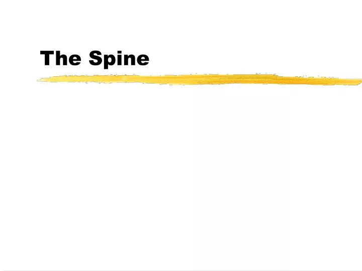 the spine