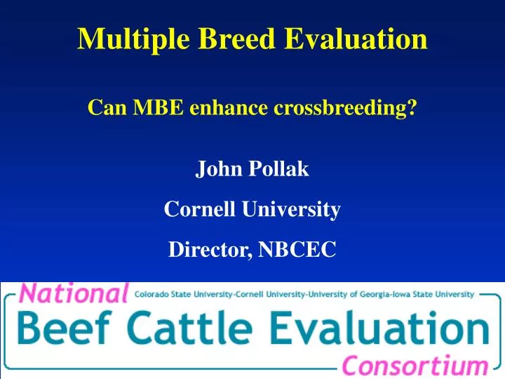 multiple breed evaluation can mbe enhance crossbreeding
