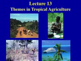 Lecture 13 Themes in Tropical Agriculture