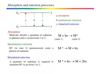 Absorption