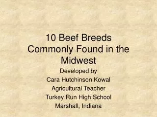 10 Beef Breeds Commonly Found in the Midwest